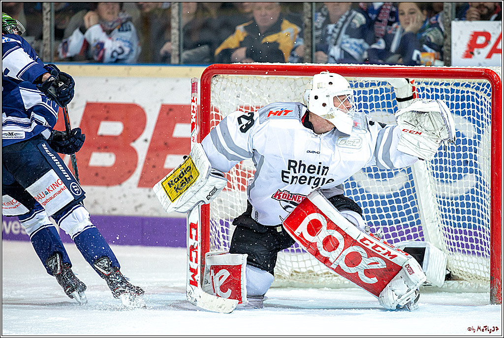 DEL; Iserlohn Roosters - Koelner Haie, 27.01.2019
